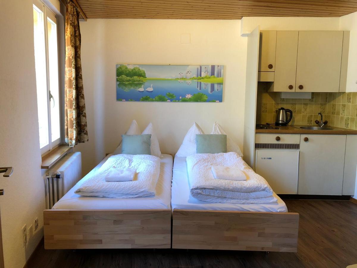 Central Beauty Scenery Apartment Interlaken Eksteriør billede