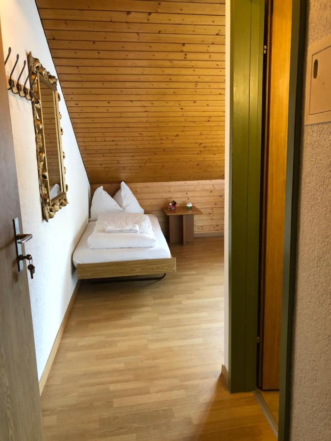 Central Beauty Scenery Apartment Interlaken Eksteriør billede